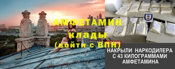 гидра Балахна