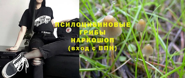 spice Балабаново