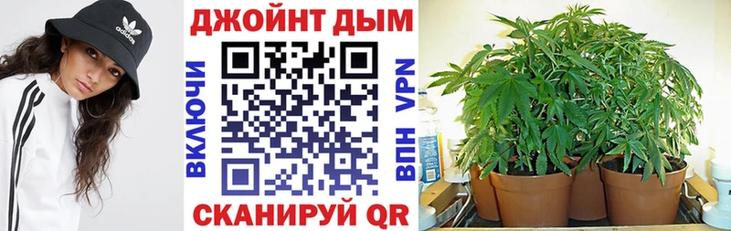 Купить где  Славгород  Конопля тримм 